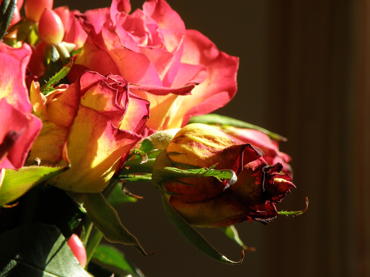 rose bouquet flowers free photo