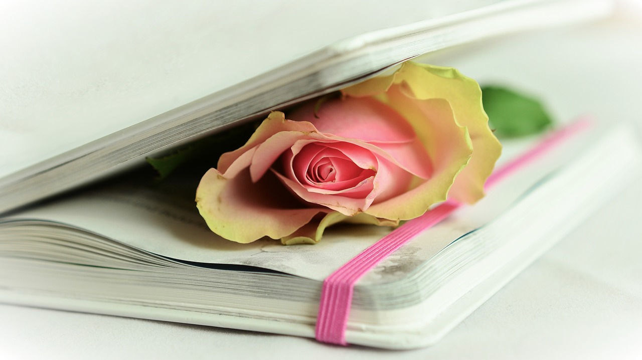 rose book poetry free photo