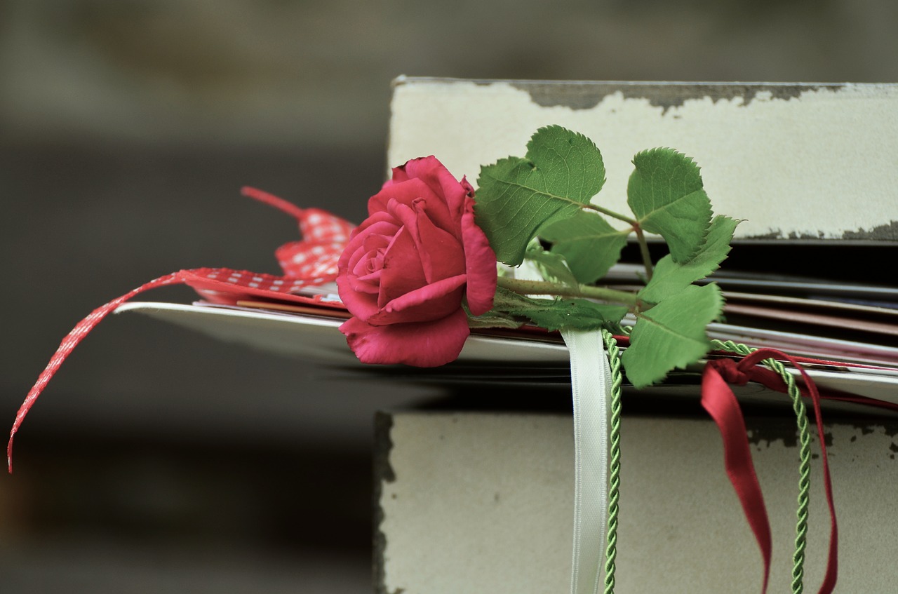rose romance letters free photo