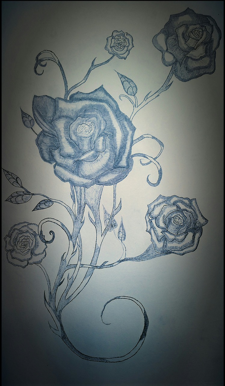 rose pencil tattoo free photo
