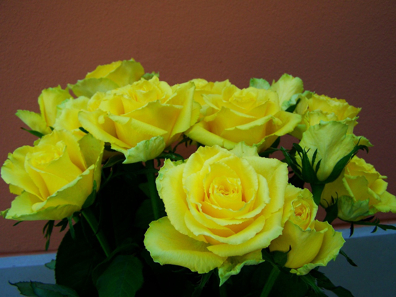 rose bouquet yellow roses cut flowers free photo