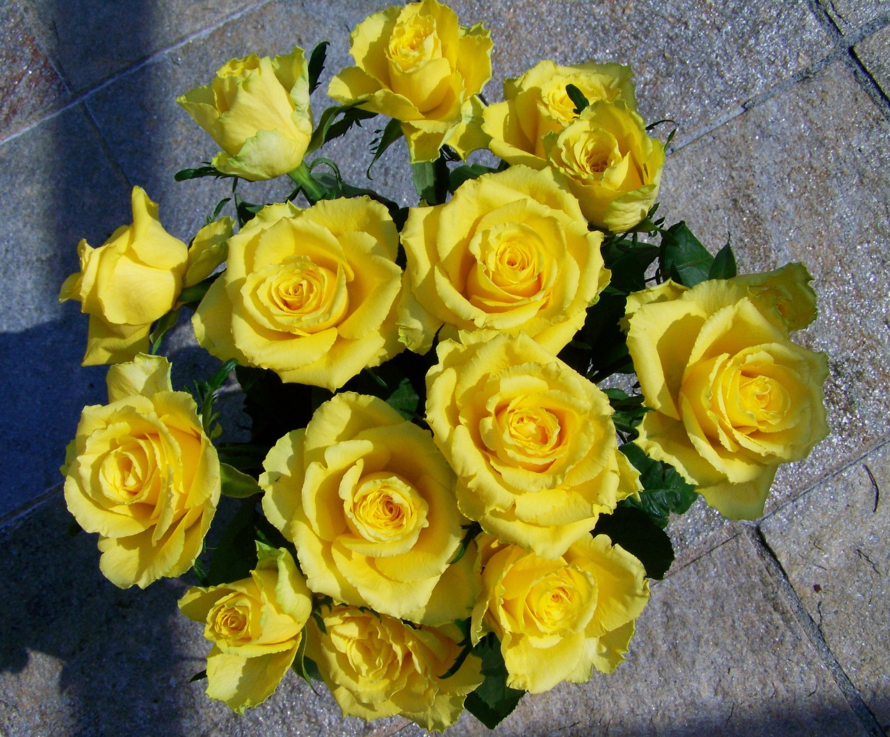 rose bouquet yellow roses cut flowers free photo