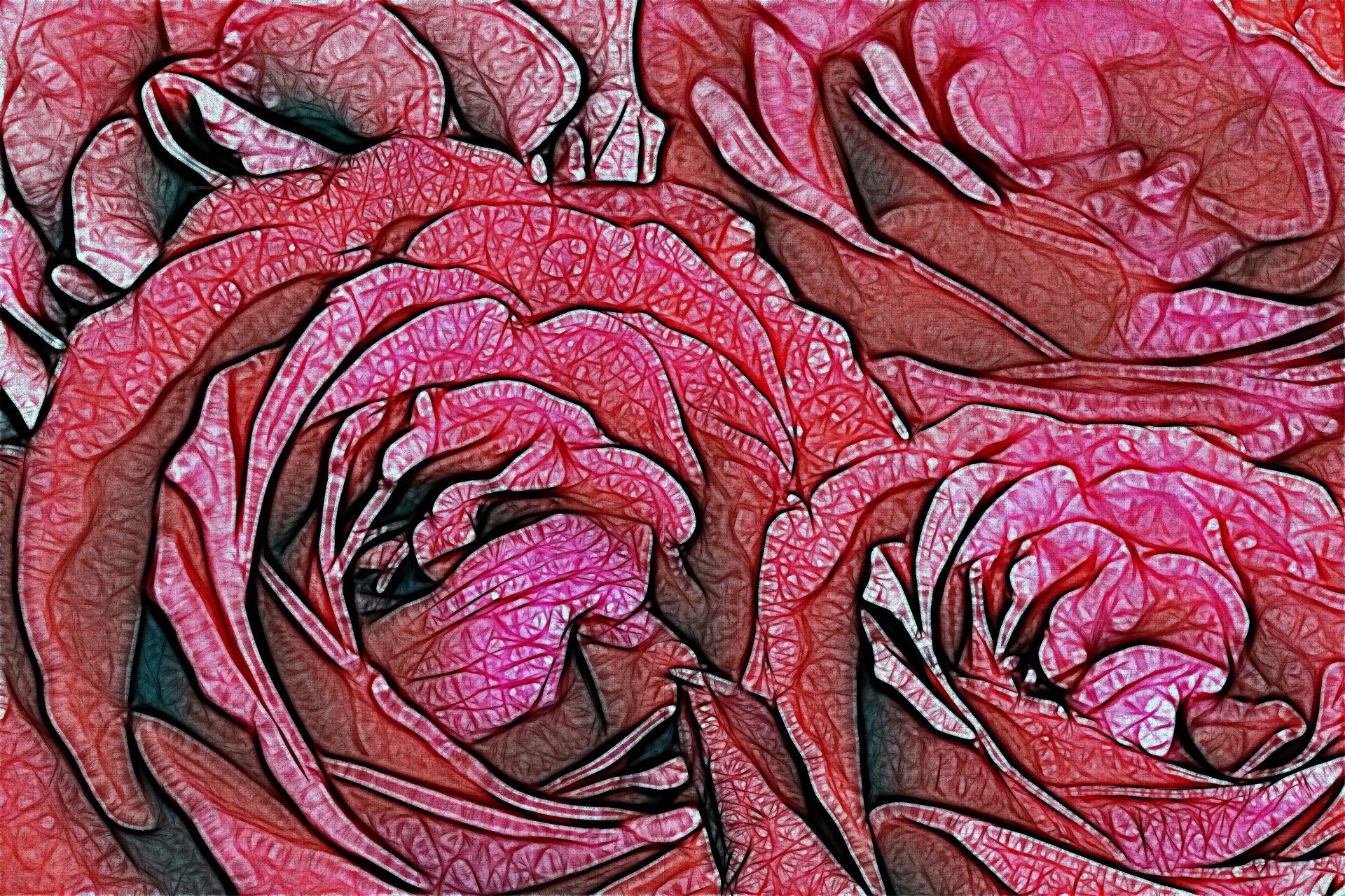rose floral pattern free photo
