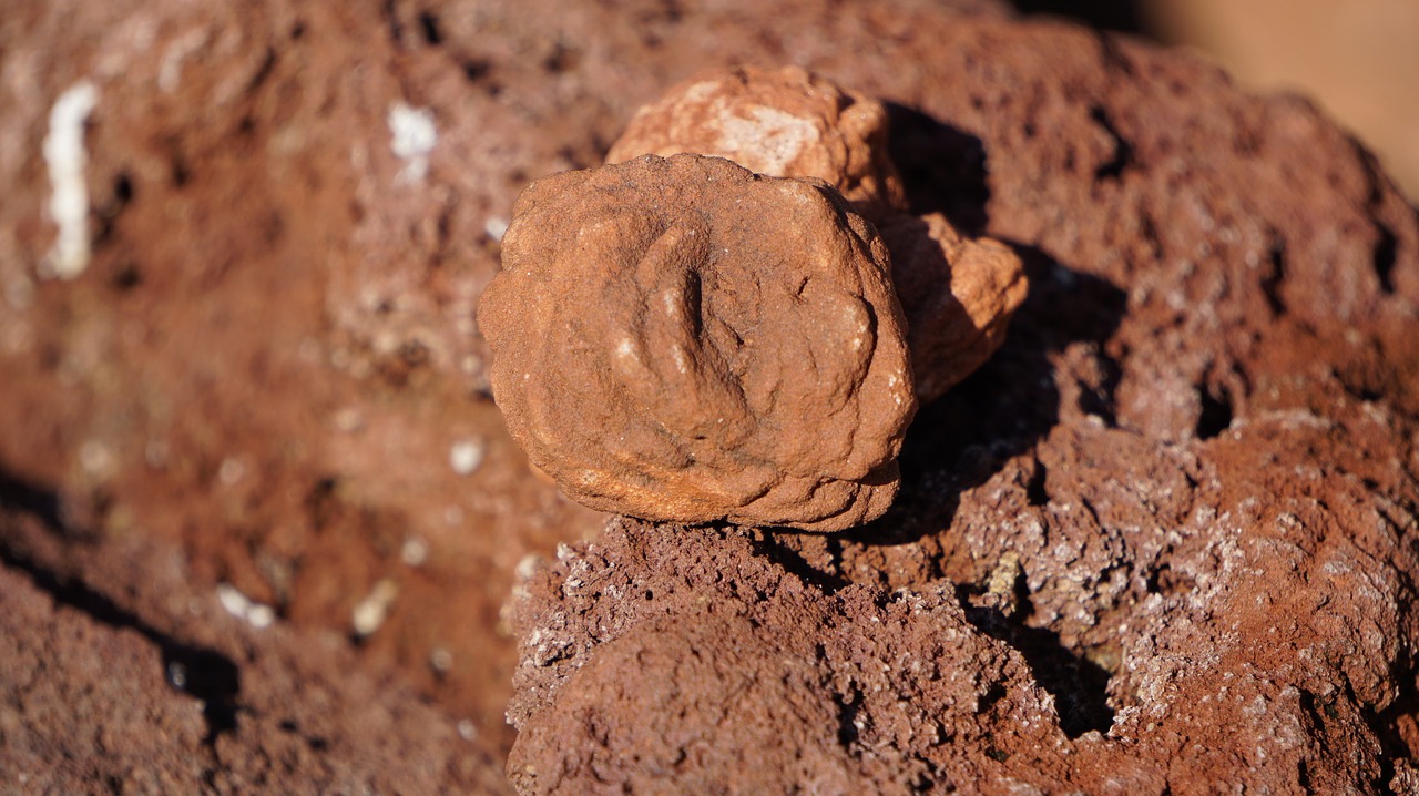 rose rock rock nature free photo