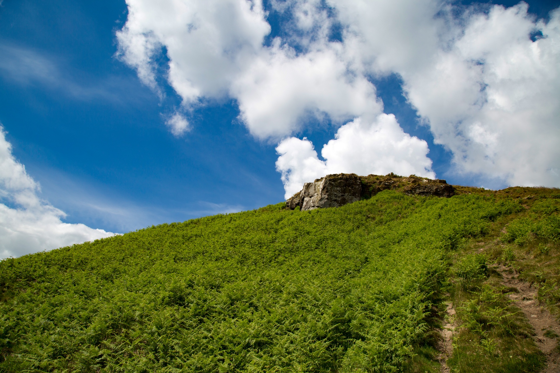 uk stone park free photo