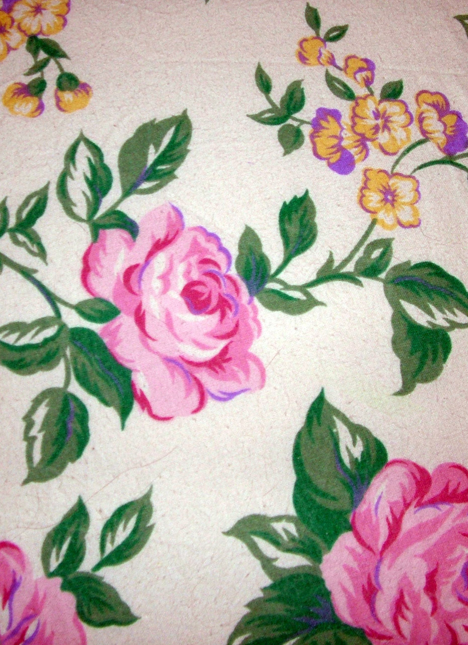 roses drawing wallpaper free photo