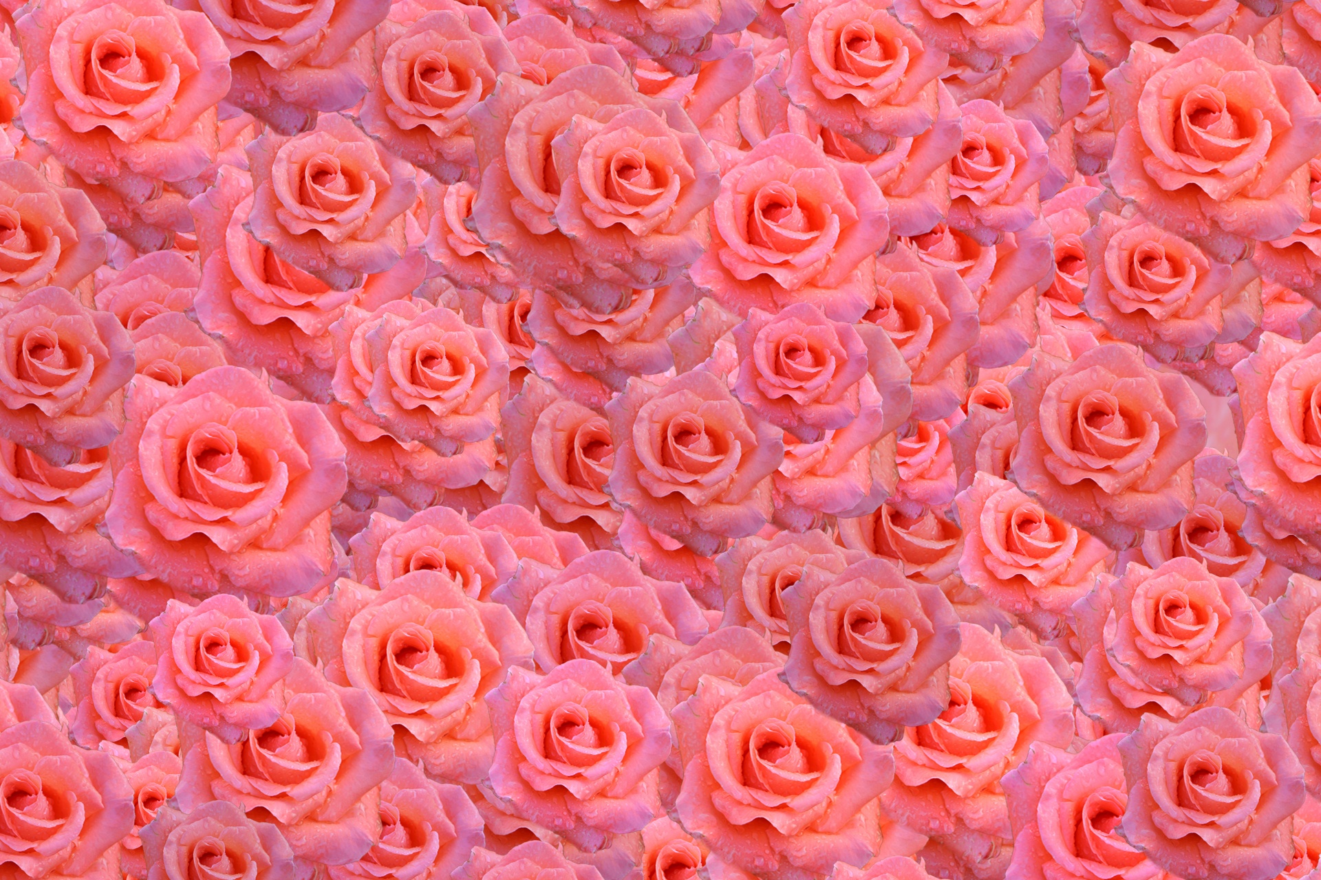 flowers wallpaper pattern free photo