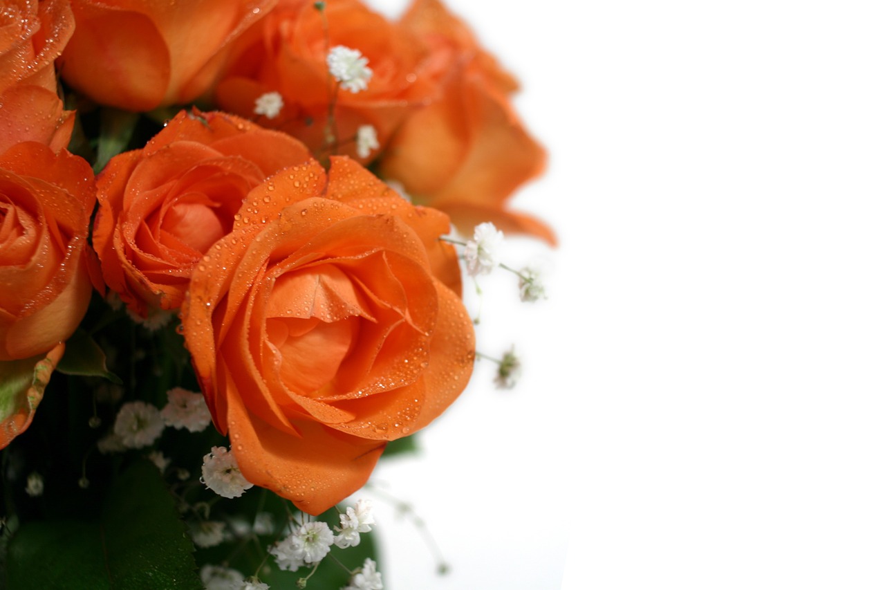 roses bouquet wedding free photo