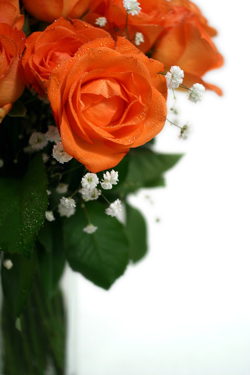 roses bouquet wedding free photo