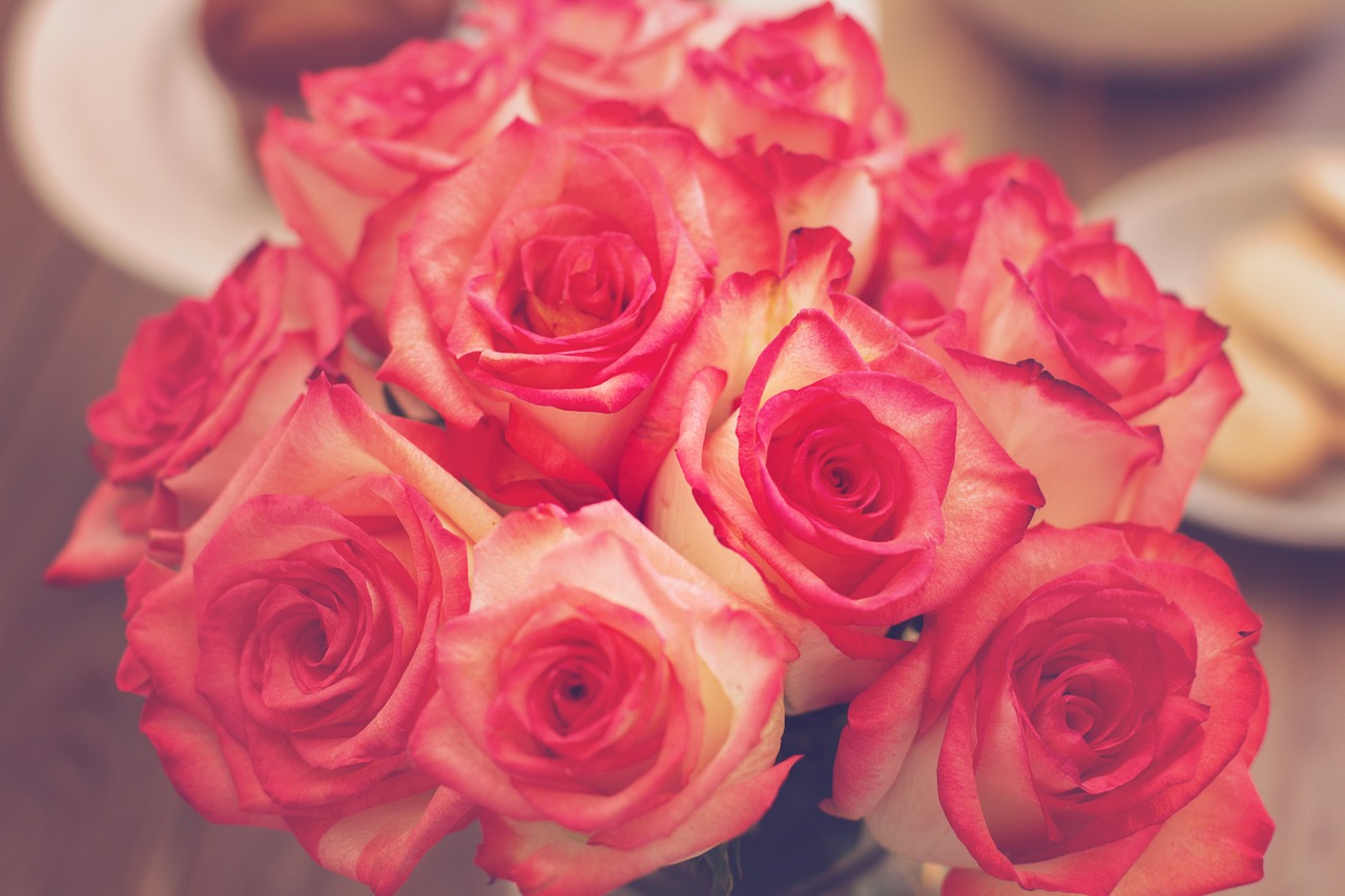 roses bouquet pink free photo