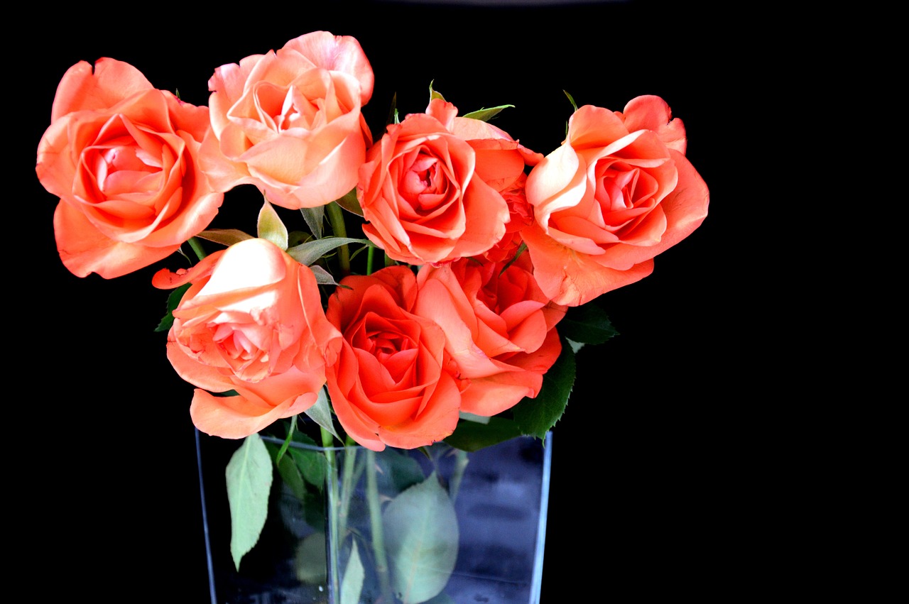 roses bouquet flowers free photo