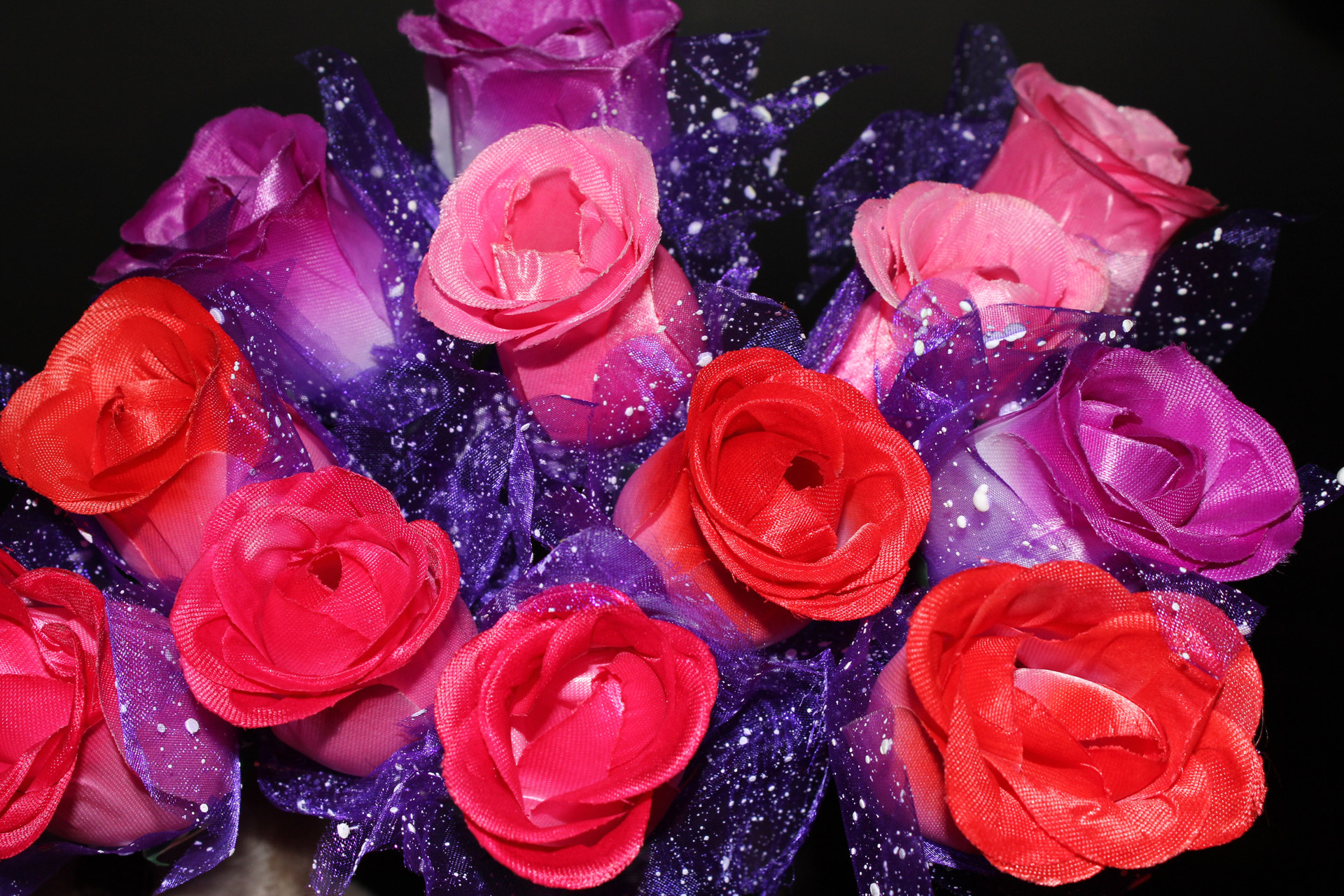 rose flower valentine's gift free photo
