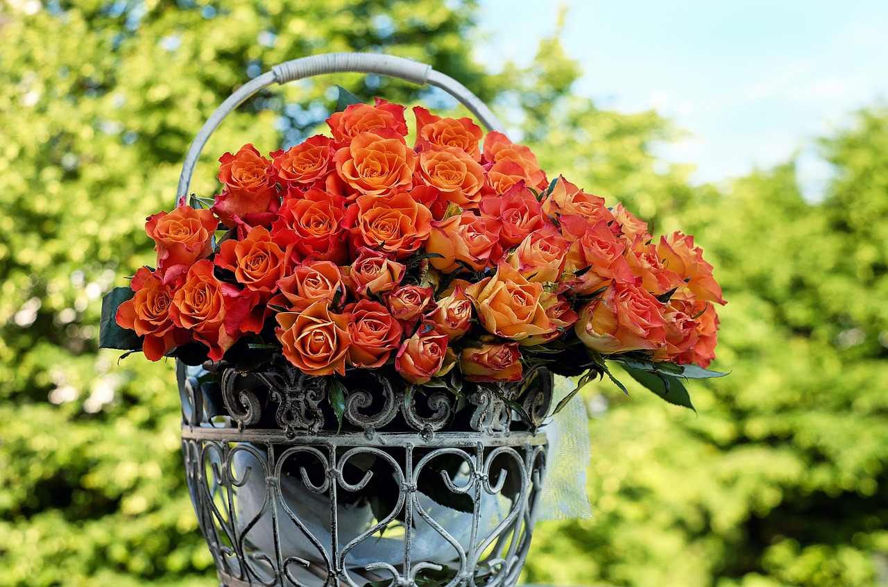 roses bouquet of roses blossom free photo