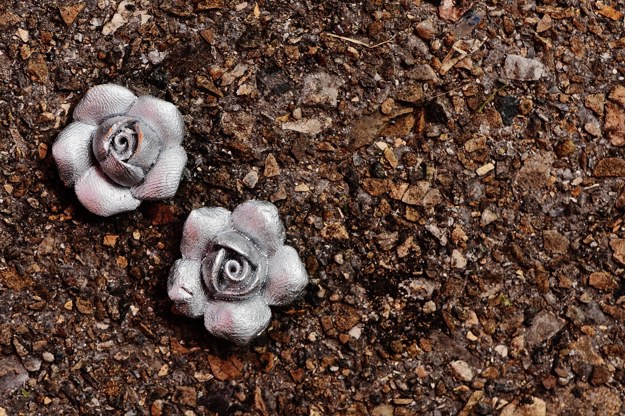 roses silver flowers free photo