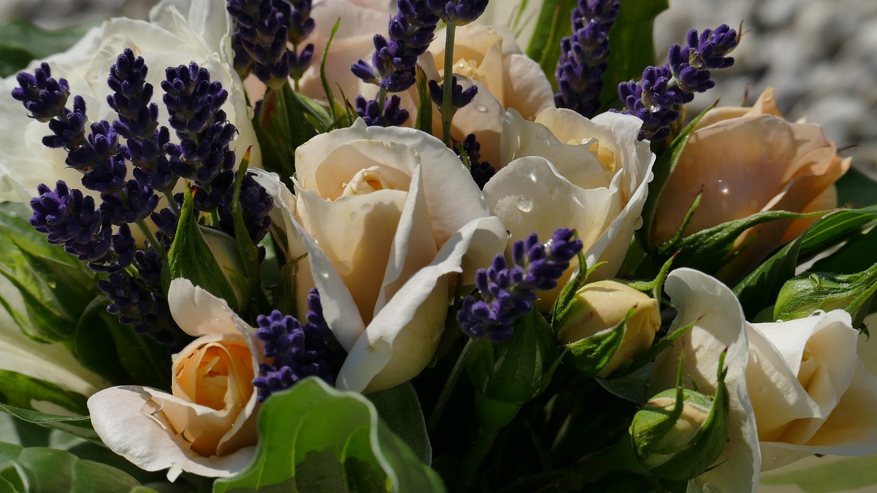 roses lavender bouquet free photo