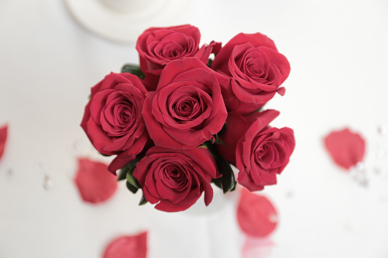 roses flowers wedding free photo