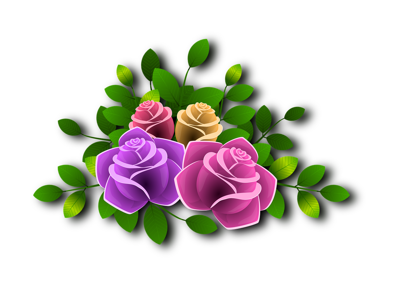 roses flowers floral free photo