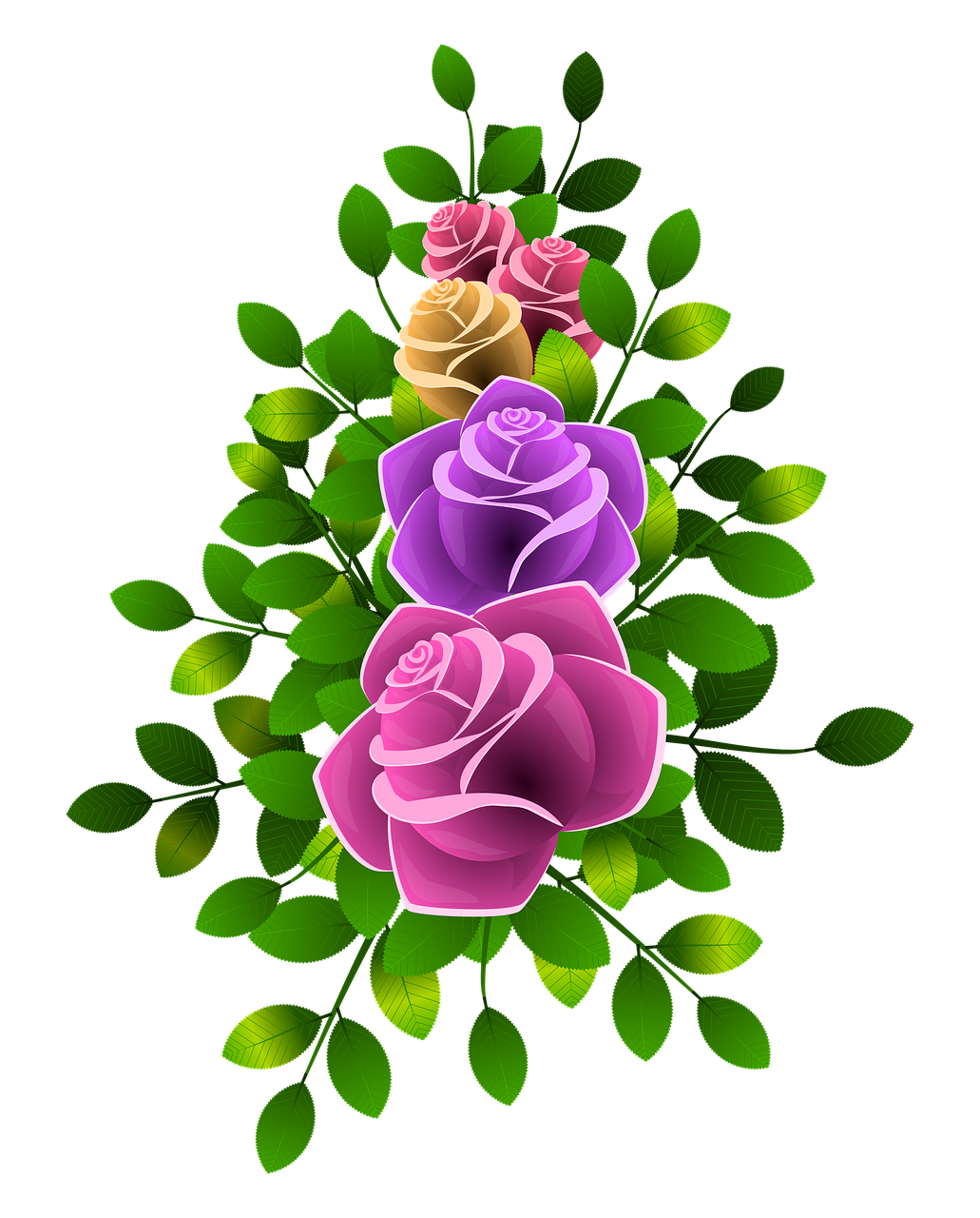 roses flowers floral free photo