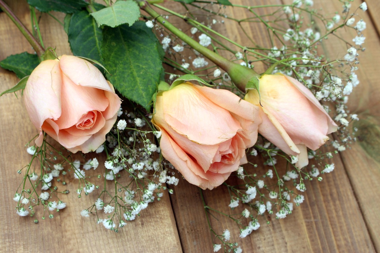 roses flowers bouquet free photo