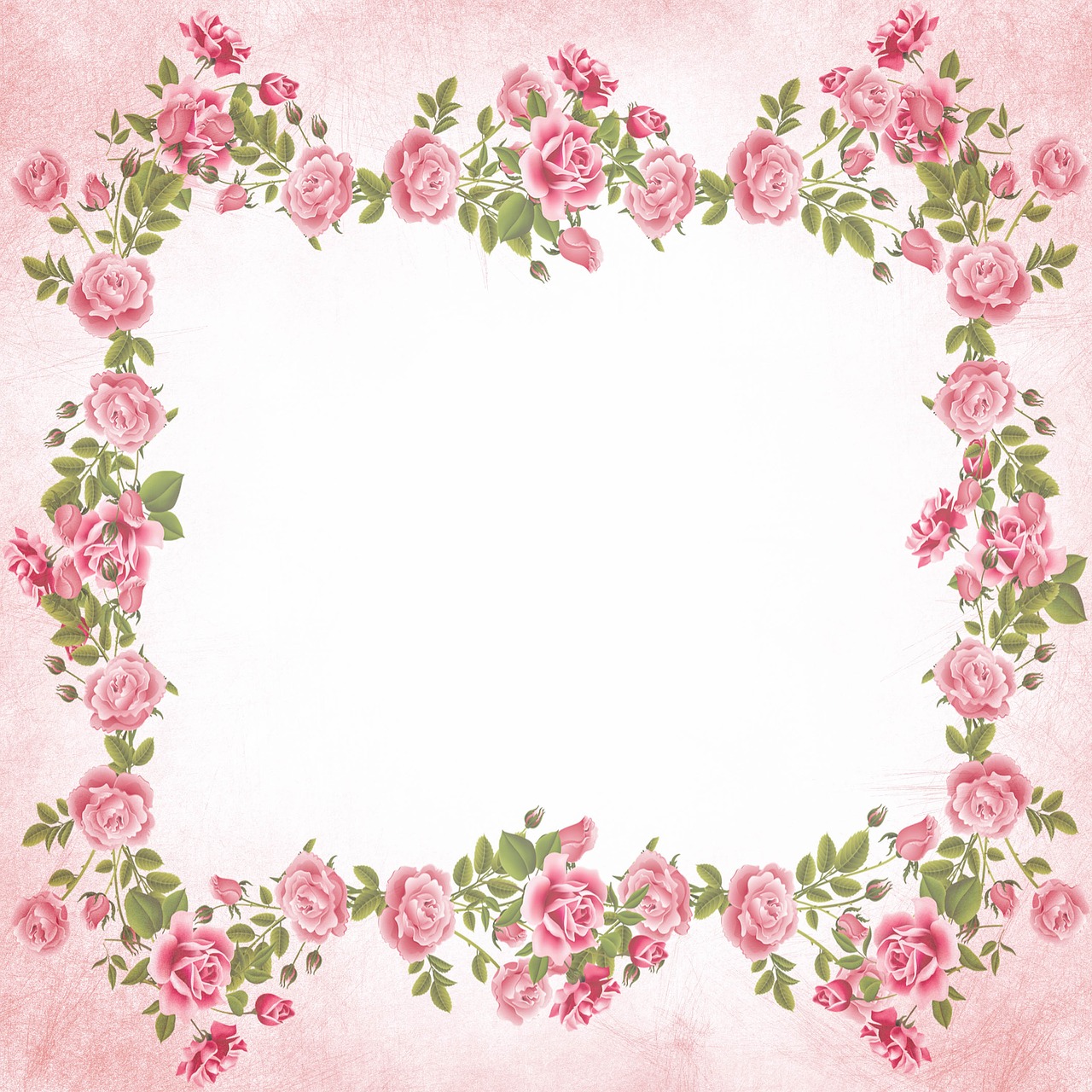 roses pink scrapbook background free photo