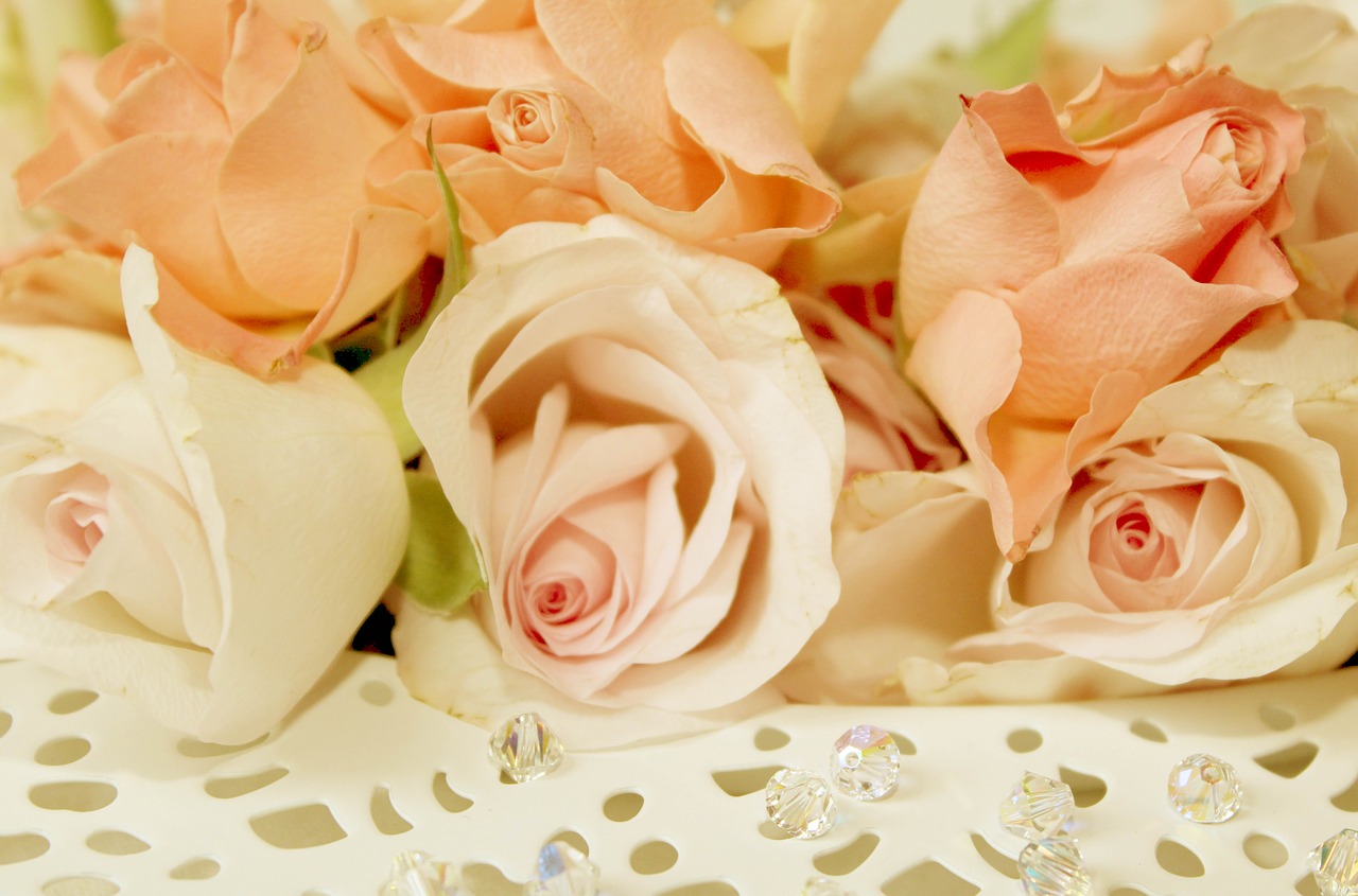 roses plate romantic free photo