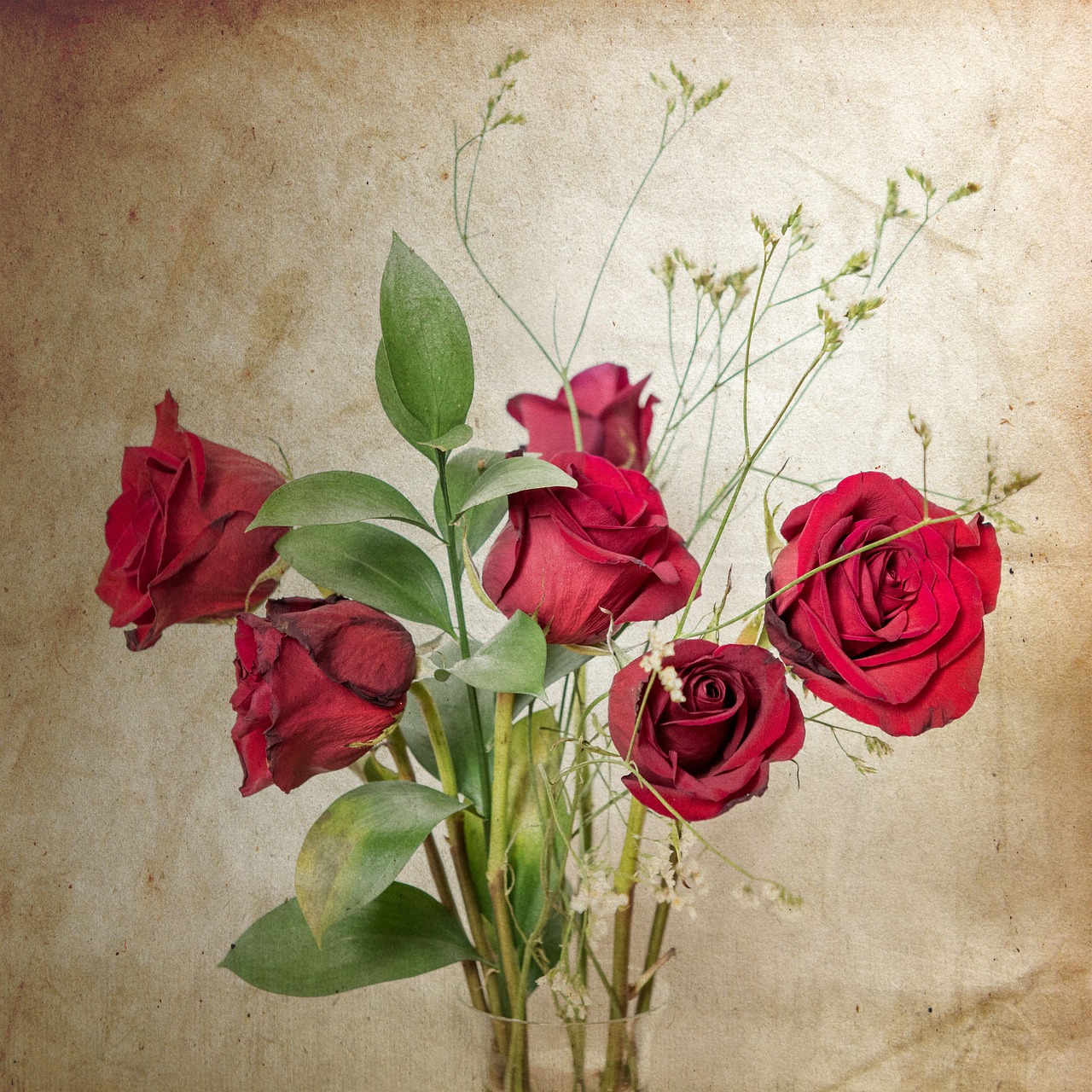 roses red roses vintage free photo