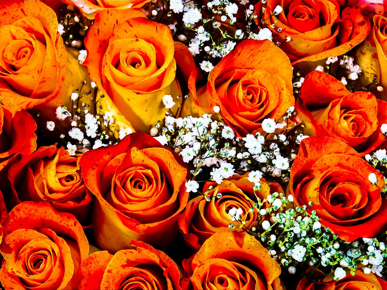 roses orange bouquet free photo