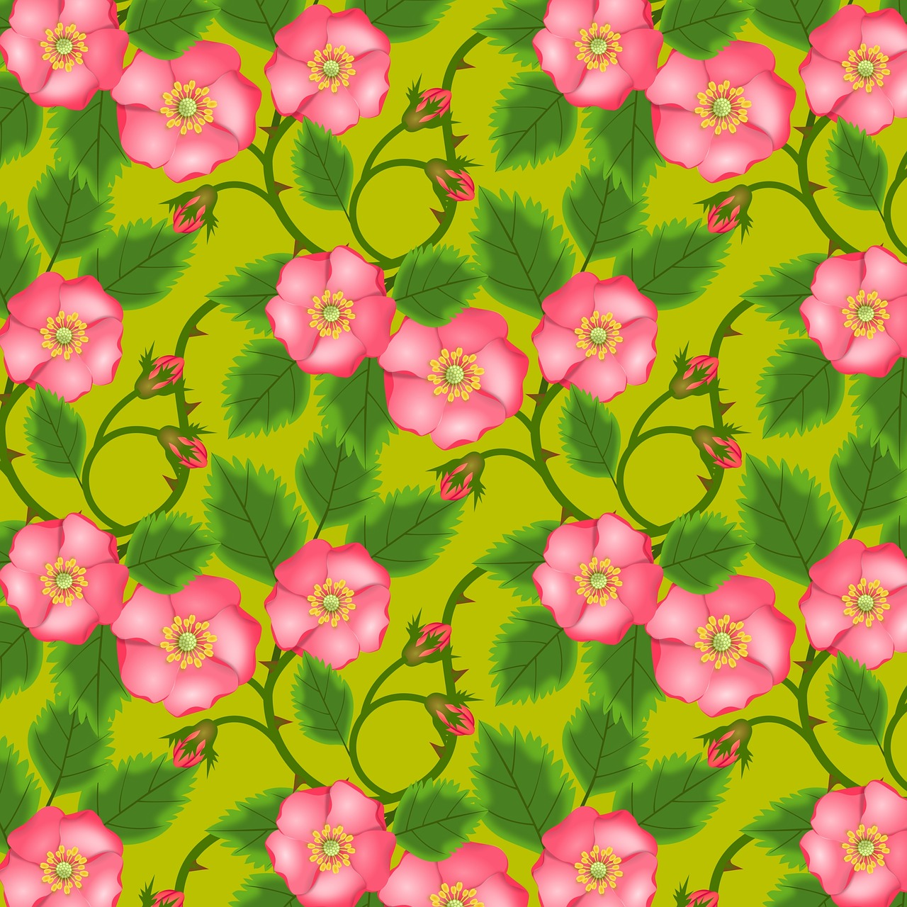roses flowers pattern free photo