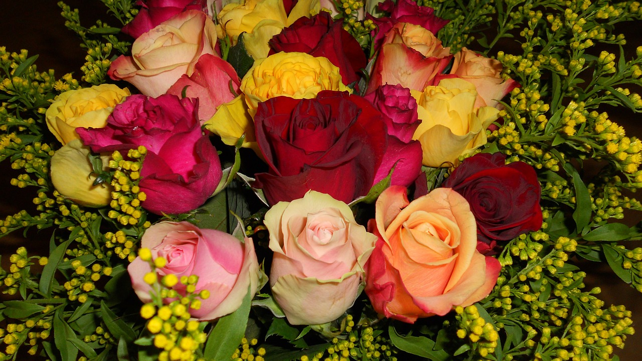 roses bouquet colorful free photo