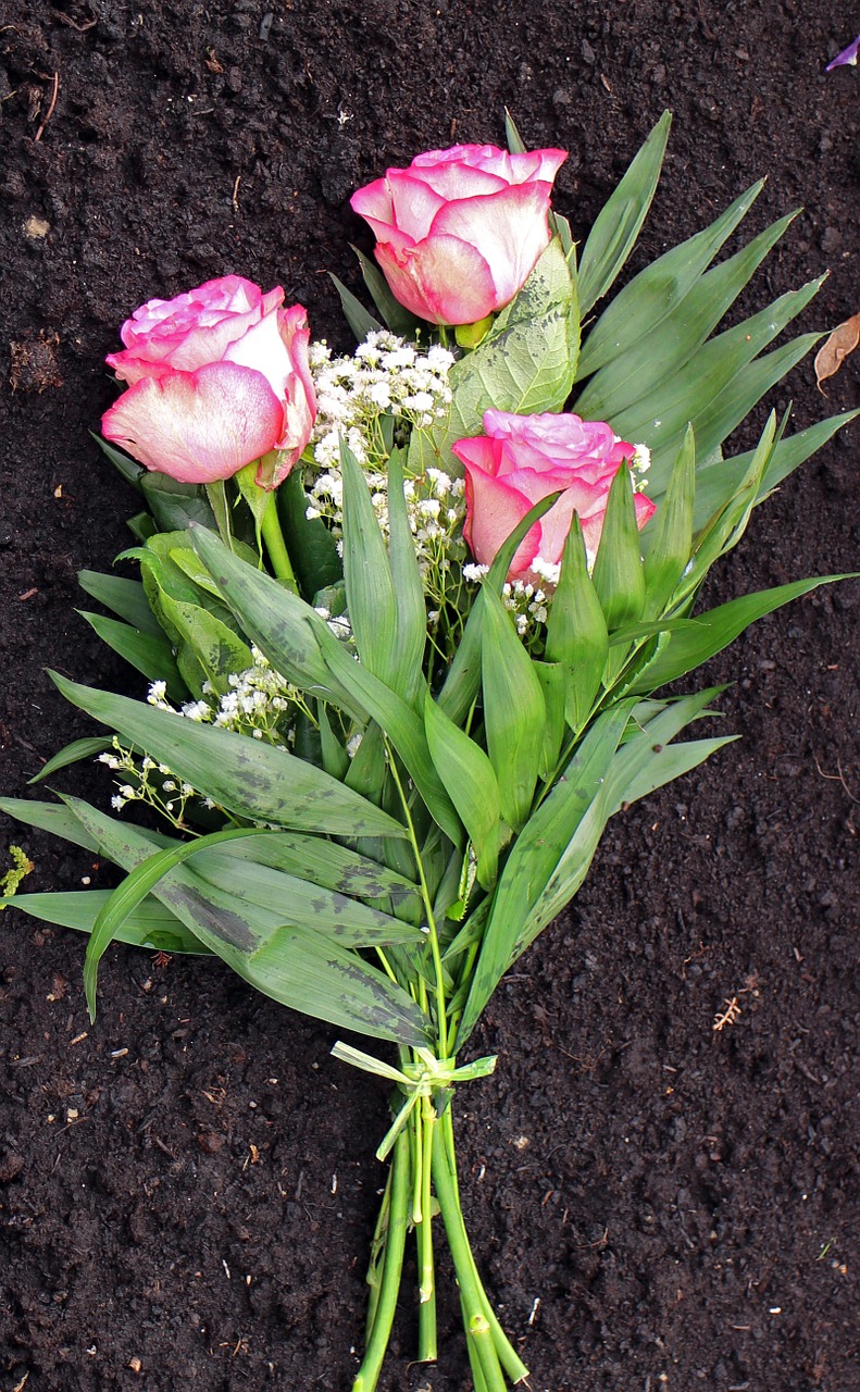 roses bouquet floral arrangement free photo