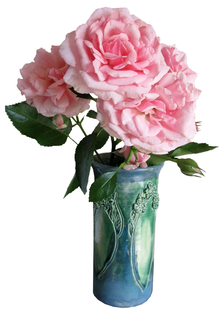 roses pink green vase free photo