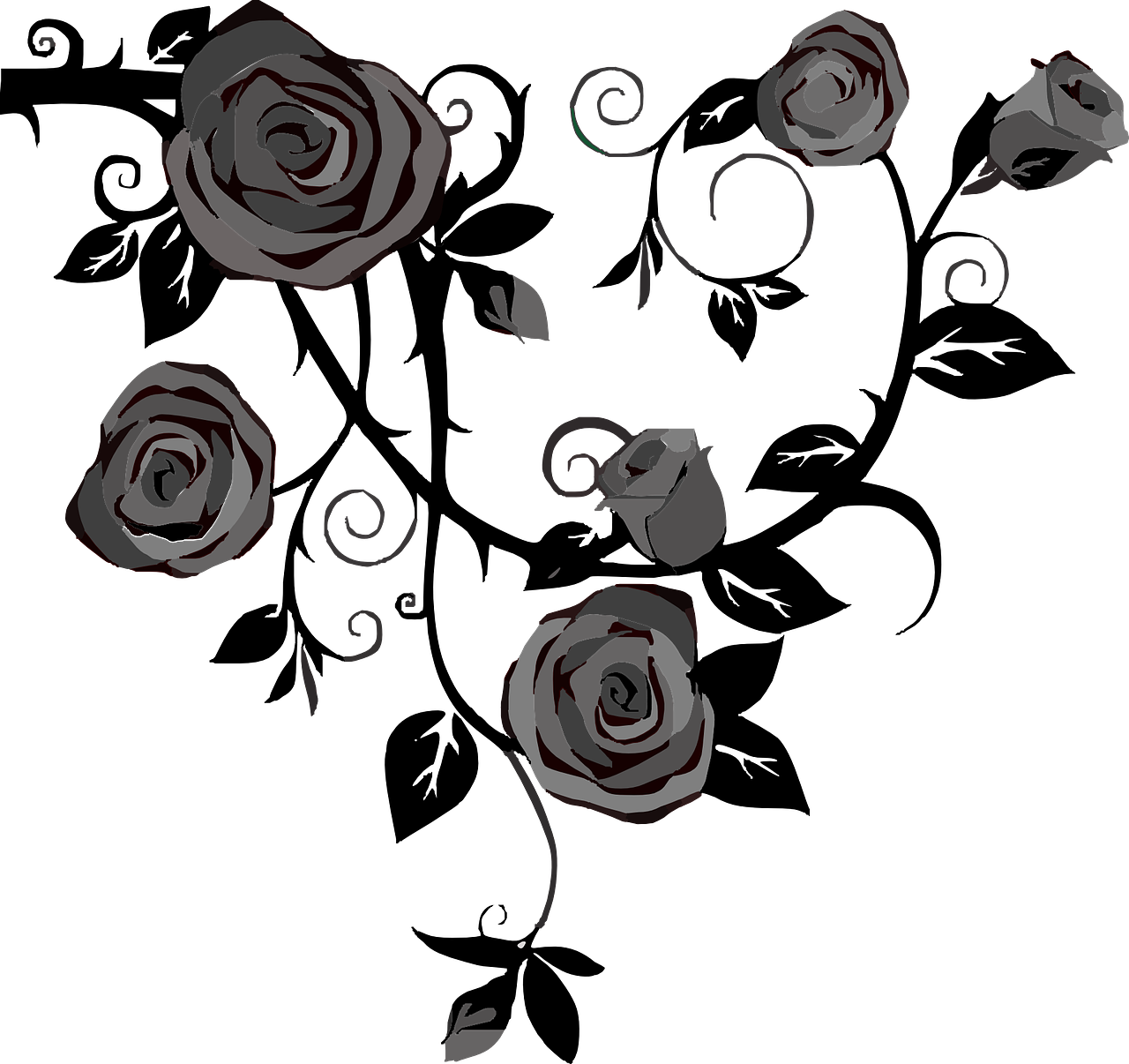 roses flowers gray free photo