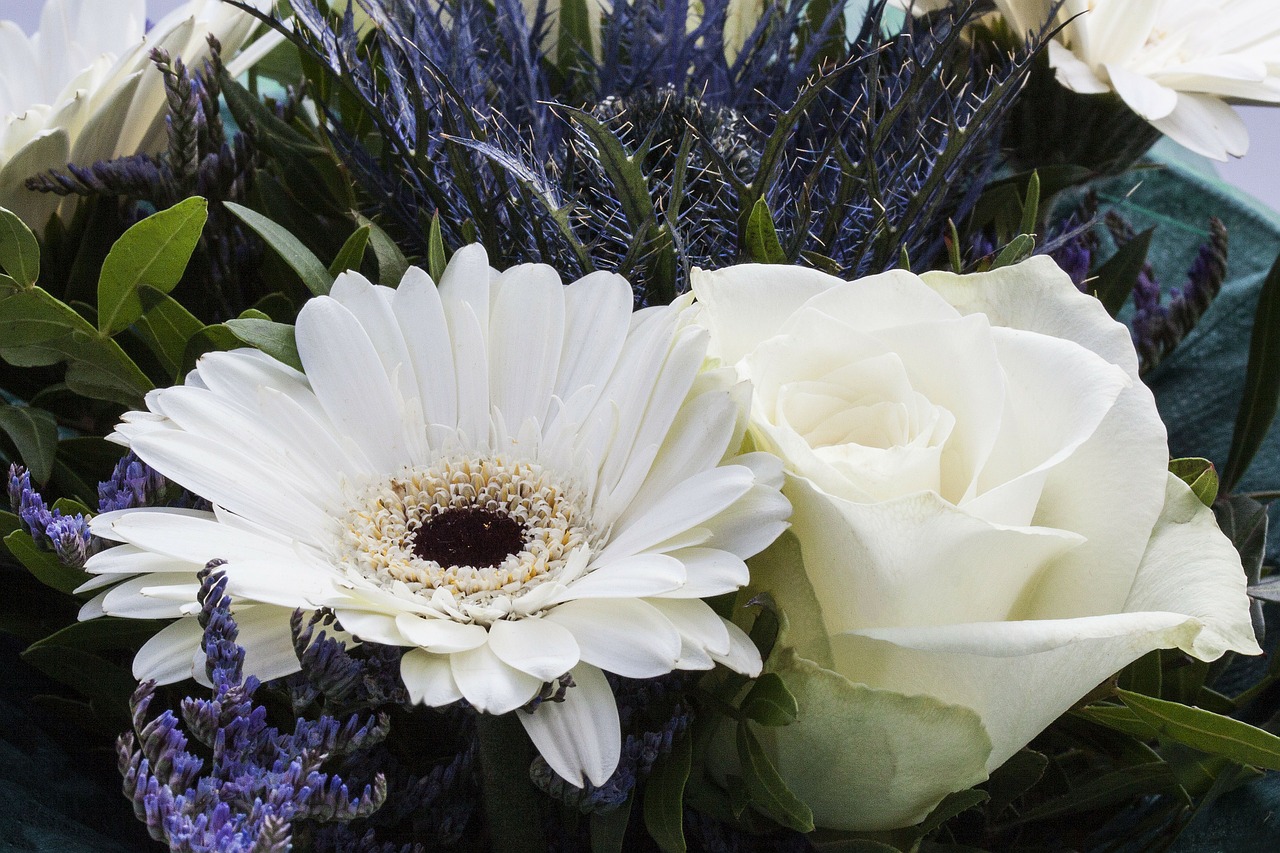 roses gerbera composites free photo