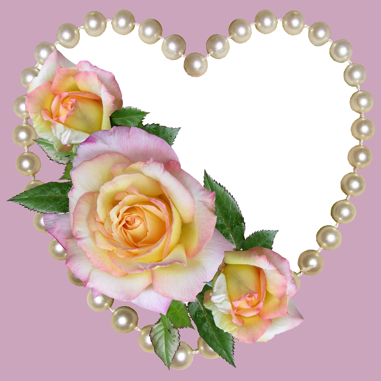 roses decoration card free photo