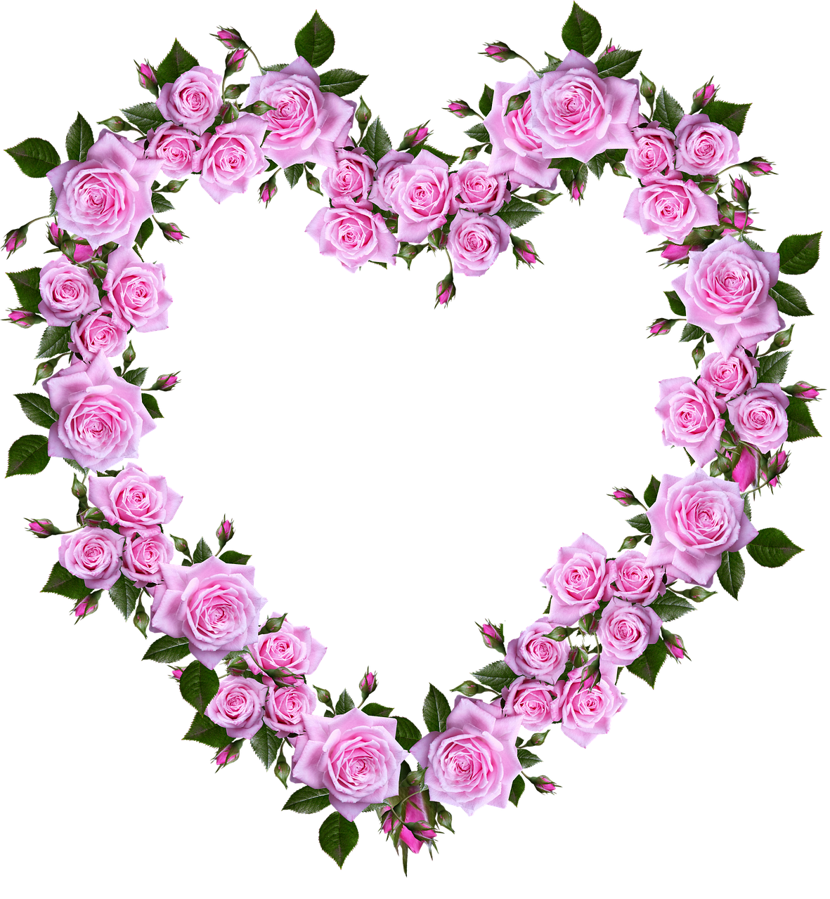 roses  heart  romance free photo