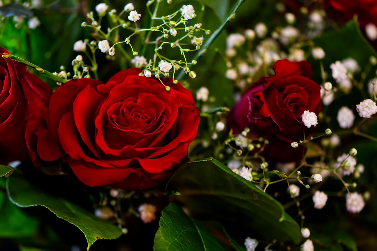 roses  bouquet  romantic free photo