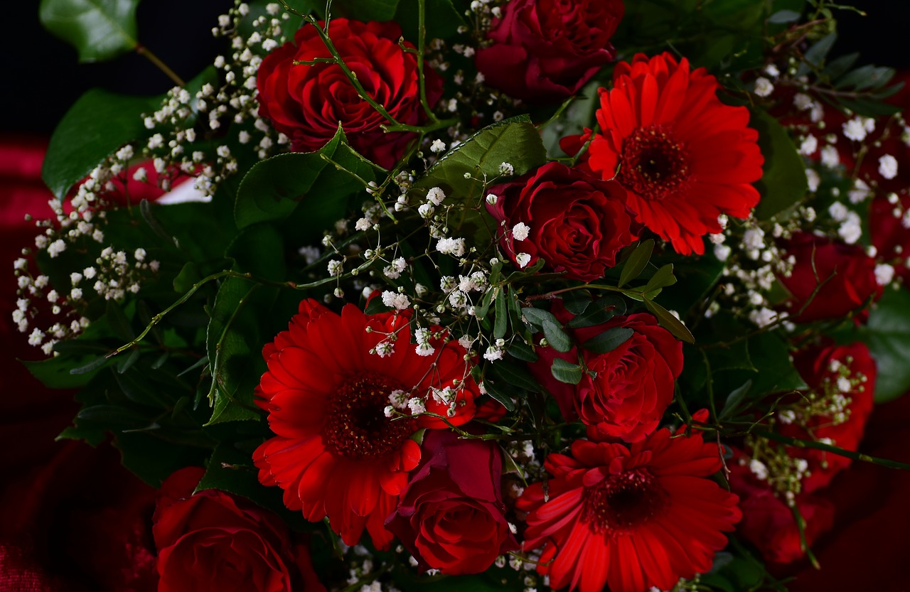 roses  red flowers  bouquet free photo