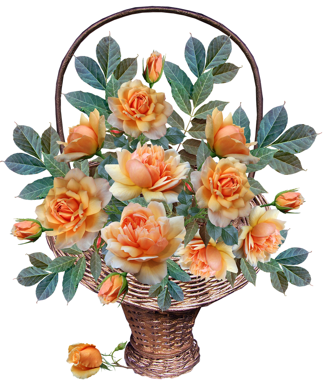 roses  flowers  basket free photo