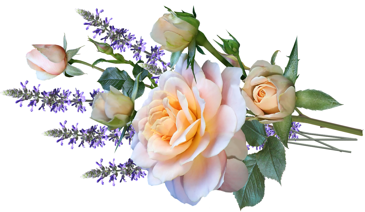 roses  flowers  bouquet free photo