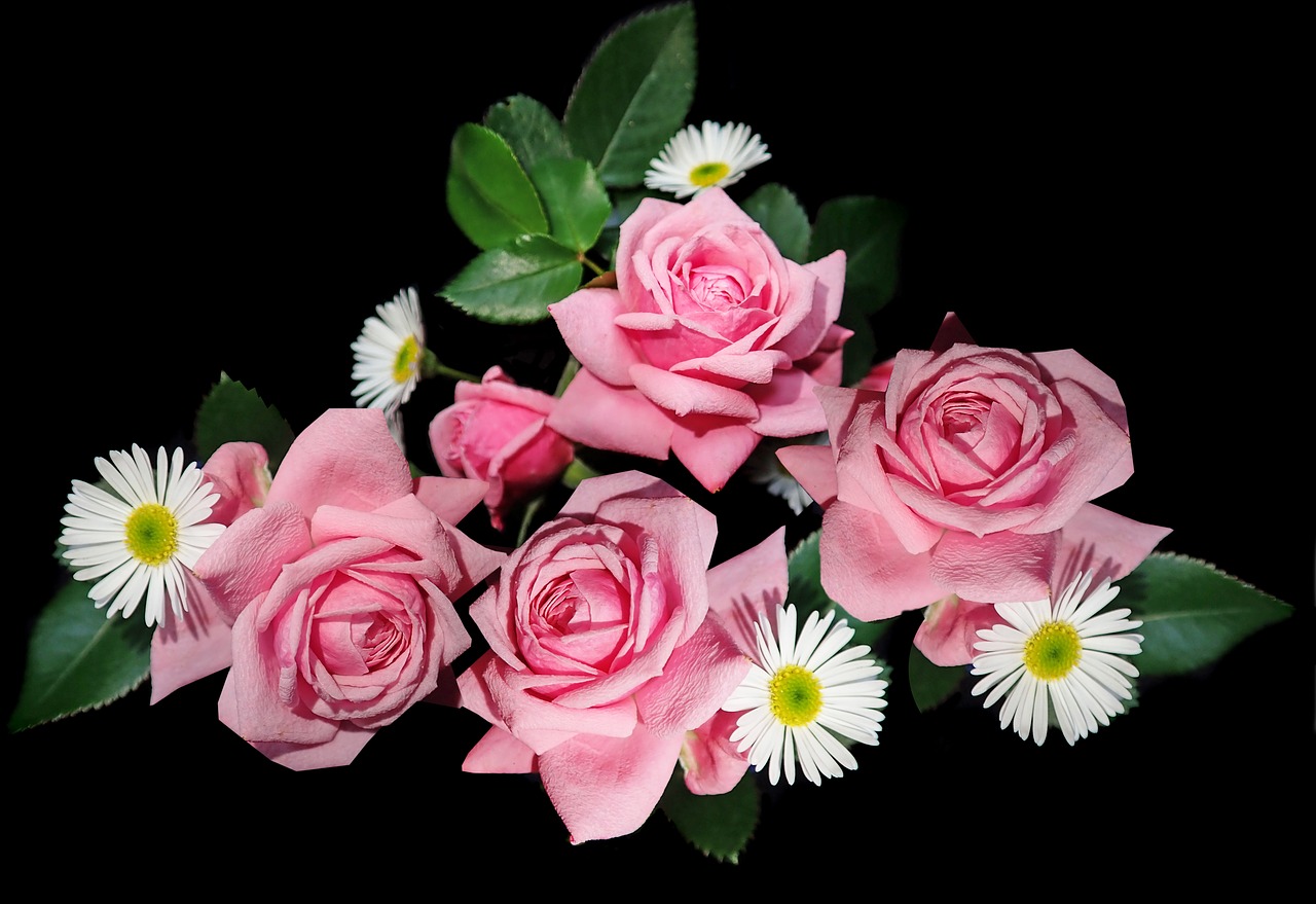 roses  daisies  arrangement free photo