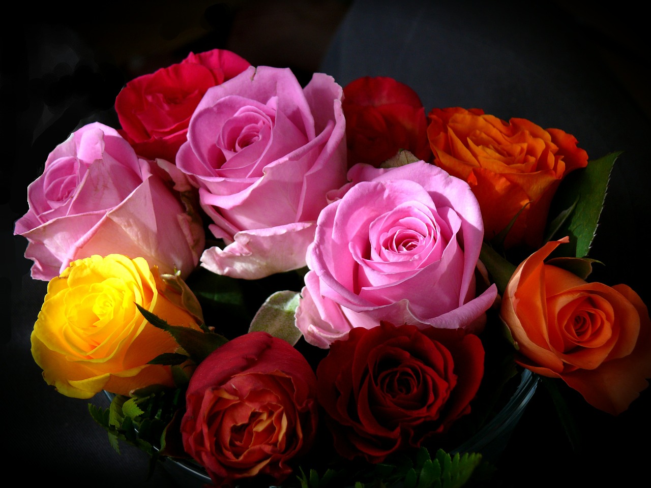 roses colorful bouquet free photo