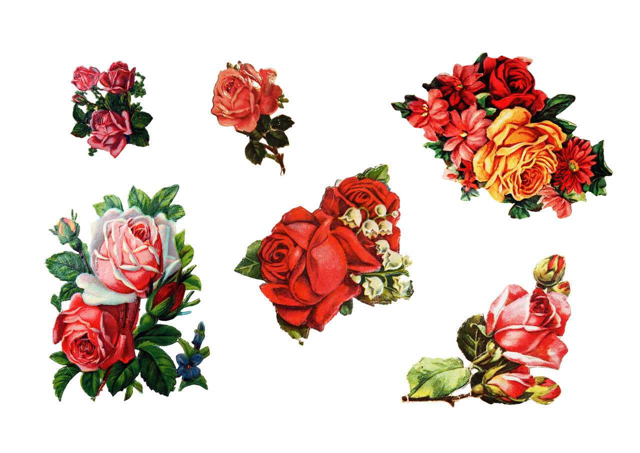roses sticker old free photo