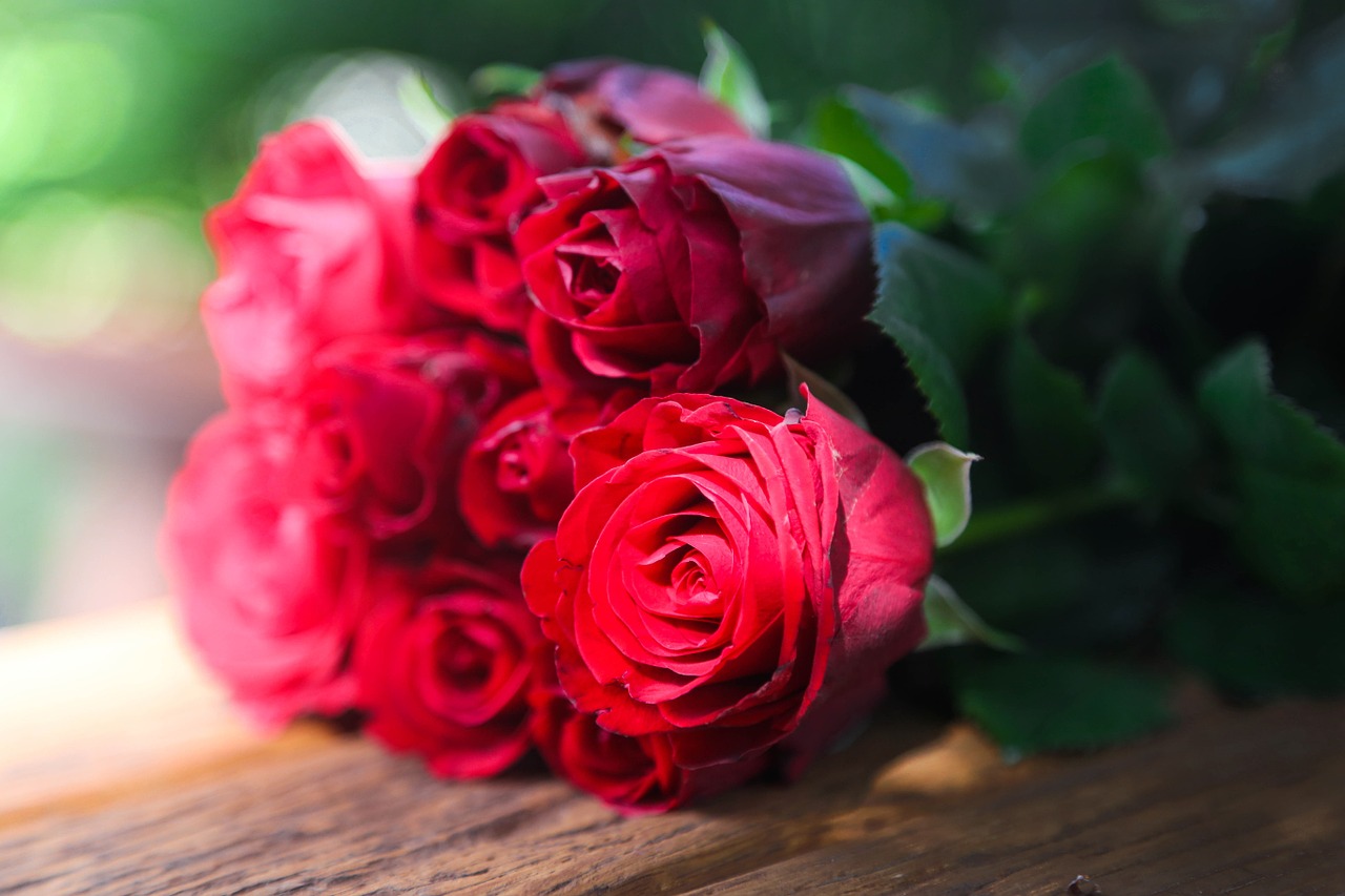 roses red bunch free photo