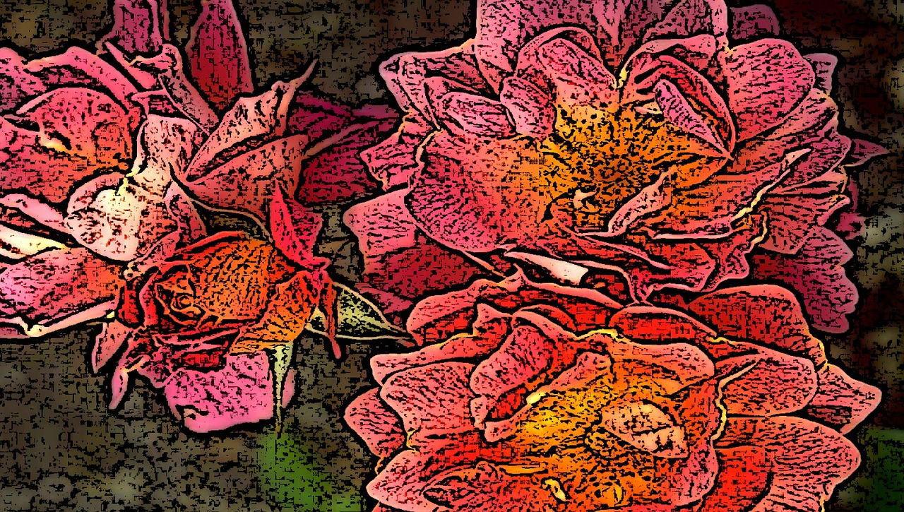 roses abstract beautiful free photo
