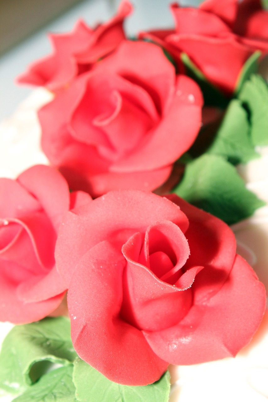 roses table decoration table arrangement free photo