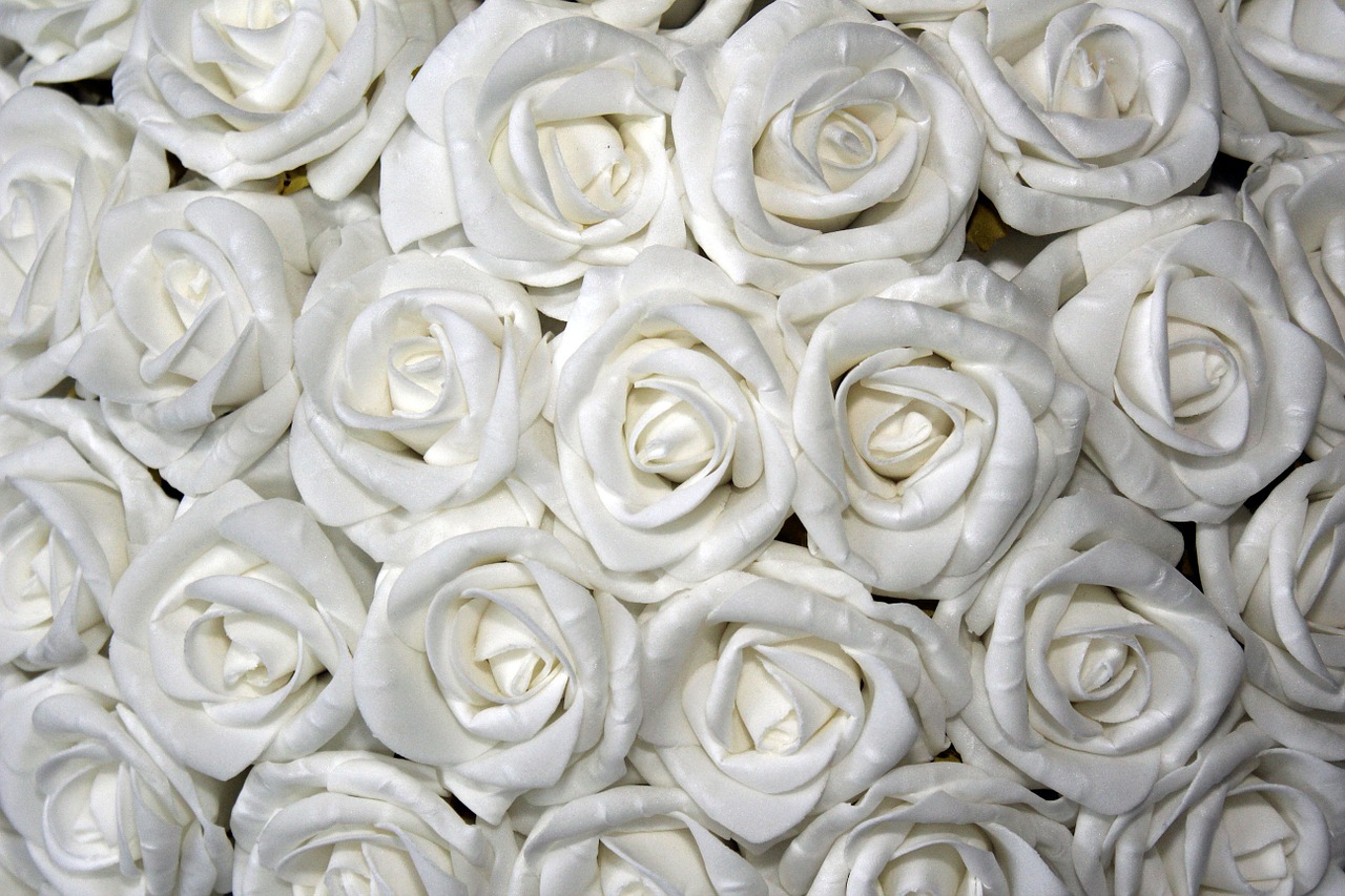 roses white table decoration free photo