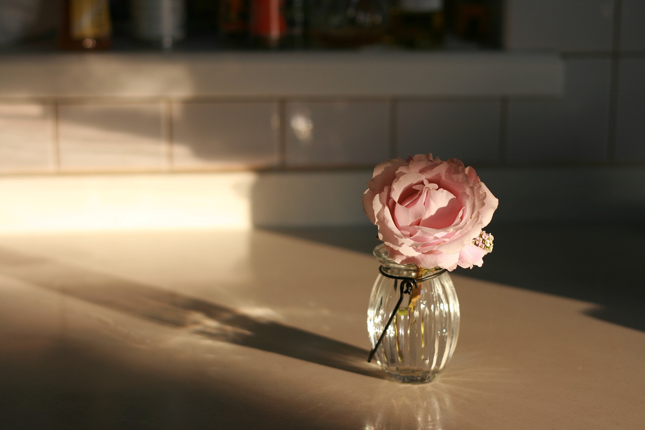 roses flowers vase free photo