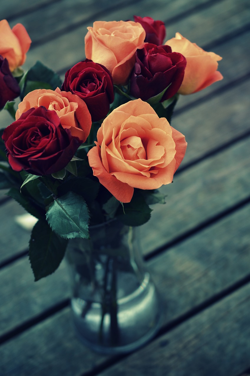 roses vintage flower free photo