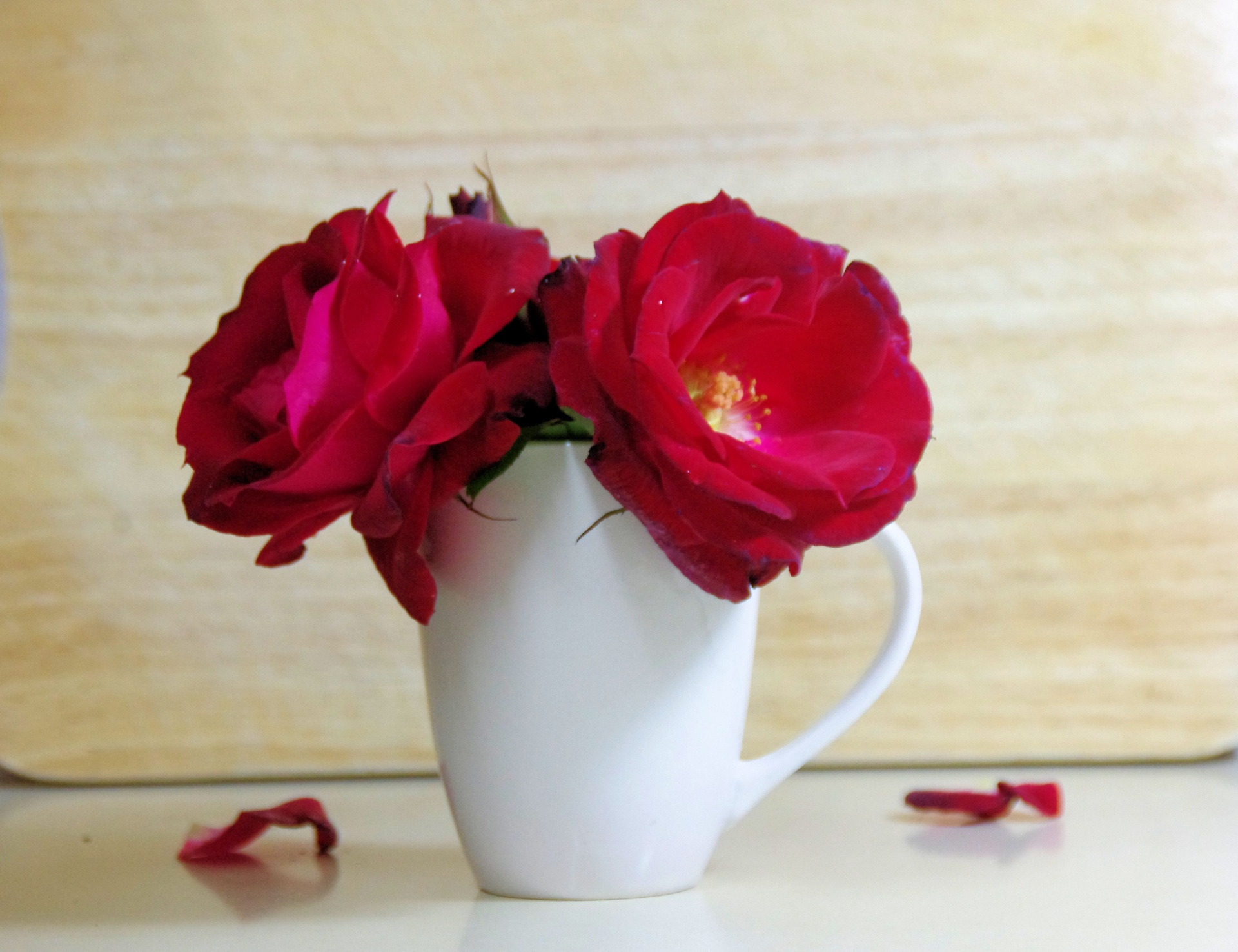 roses mug kitchen free photo