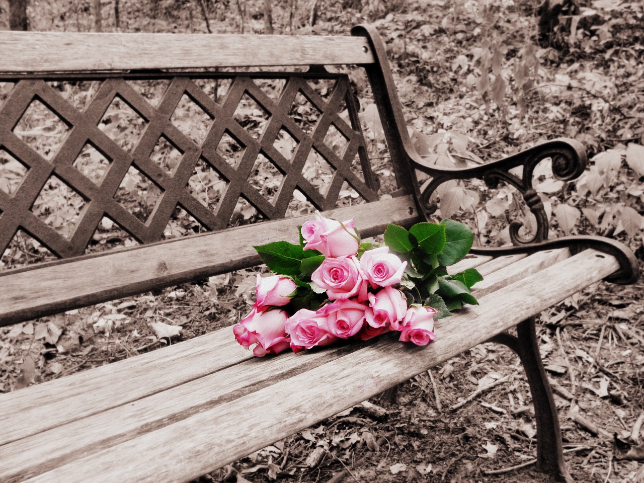 roses on bench selective coloring selective color free photo